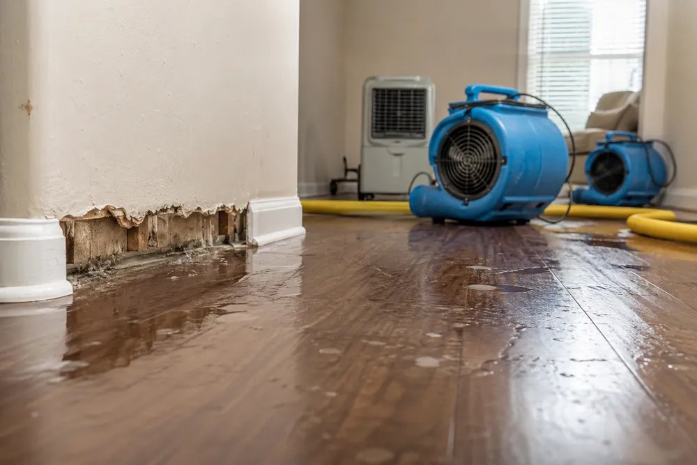 Other Repair Services — Restore It New Caney TX